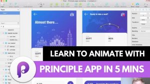 principle app